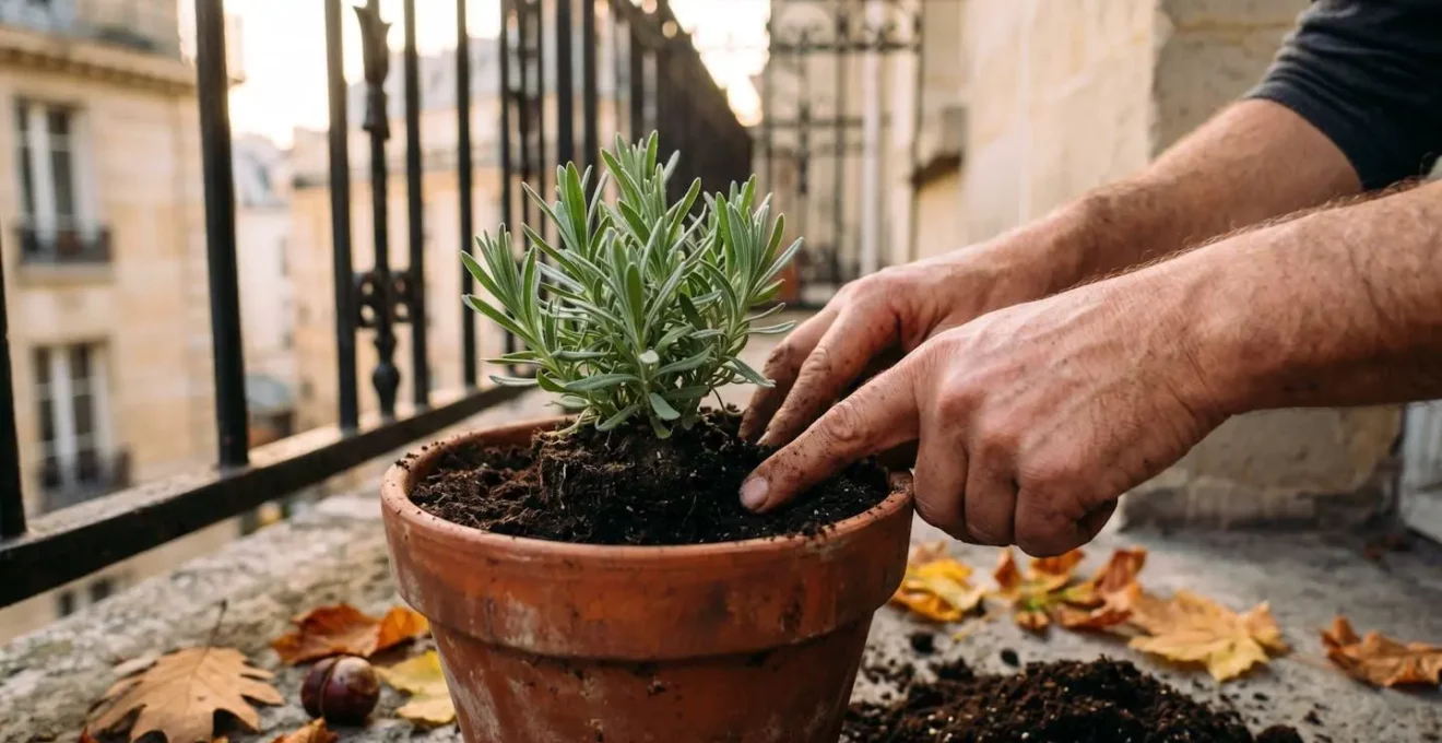 Mains plantant des vivaces dans un pot de balcon parisien en automne