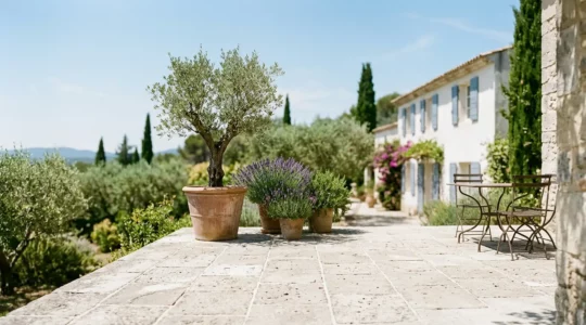 Terrasse en pierre calcaire claire sous le soleil d'été méditerranéen avec végétation rafraîchissante